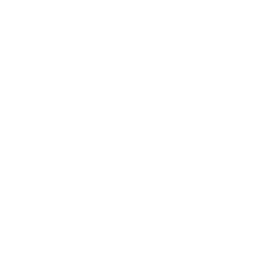 Security & Surveillance